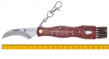 Pocket mushroom knife, mini brush, mini ruler on the handle and carabiner
