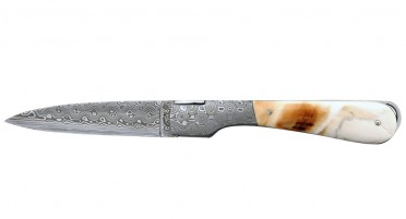 Le Sperone Corsican knife in warthog ivory - Damascus blade and miter