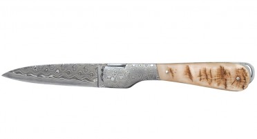 Le Sperone folding knife, Aries Horn Handle - Damascus blade and bolster