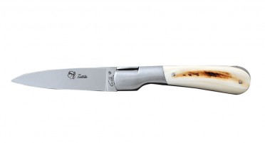 Le Pialincu Corsican knife in warthog ivory