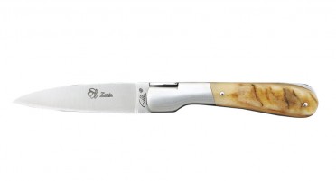 Le pialincu folding knife in Aries Horn